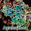 Ayahuasca